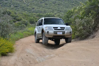 DSC_6862 (Large).JPG